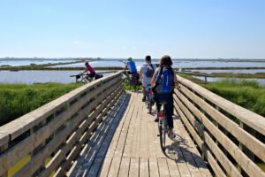 in_bici_alla_vecchia_salina2_large (1)